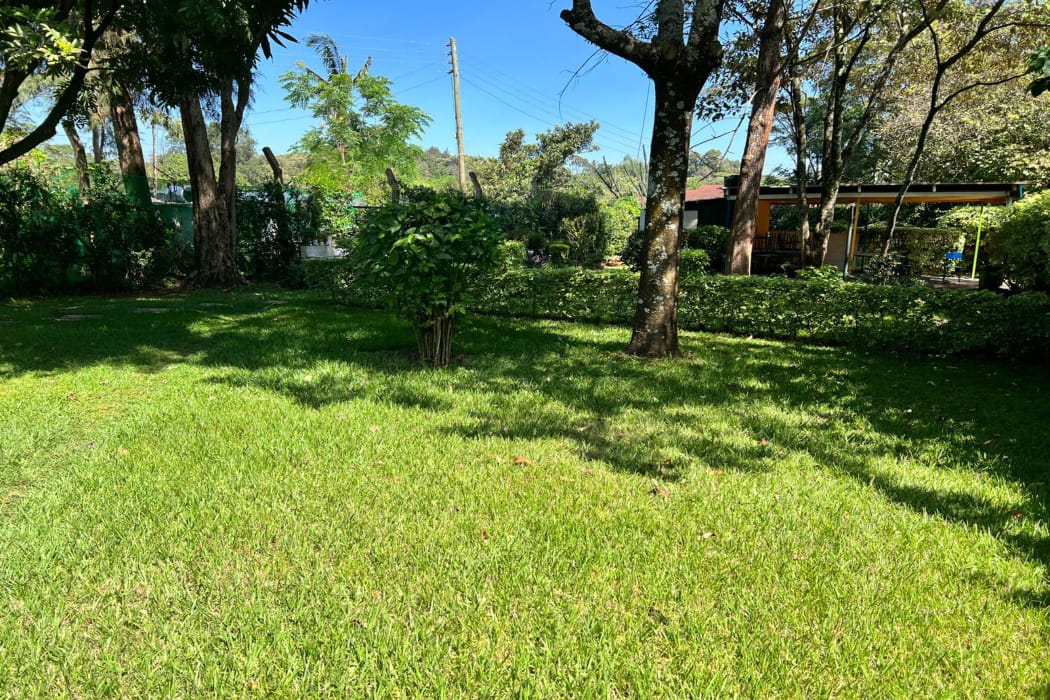 1/4 Acre Prime Plot in Nairobi West Shopping Centre - Image 4